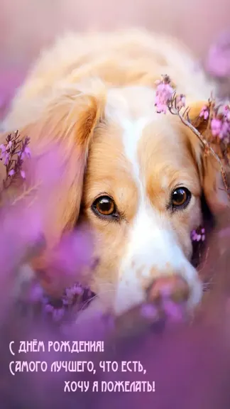 Скриншот 6/7