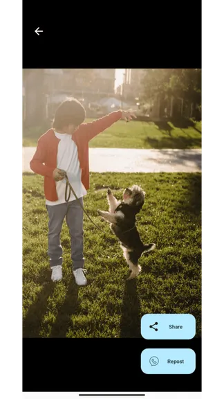 Скриншот 4/5