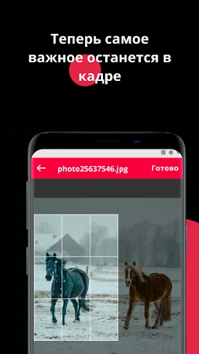 Скриншот 4/5