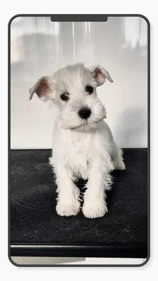 Скриншот 10/10