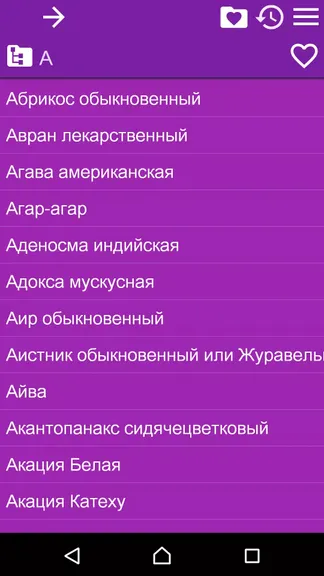 Скриншот 4/4