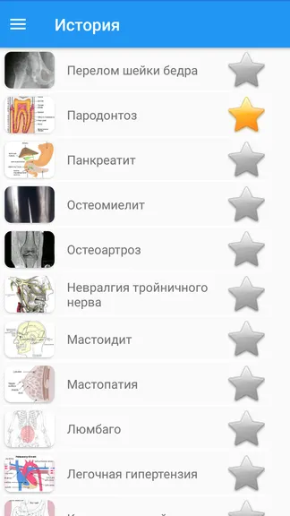 Скриншот 7/8