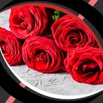 Live Wallpapers - Roses логотип