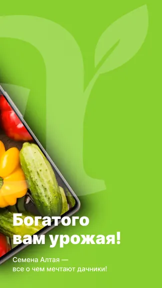 Скриншот 2/6