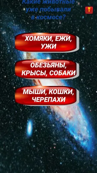 Скриншот 3/3