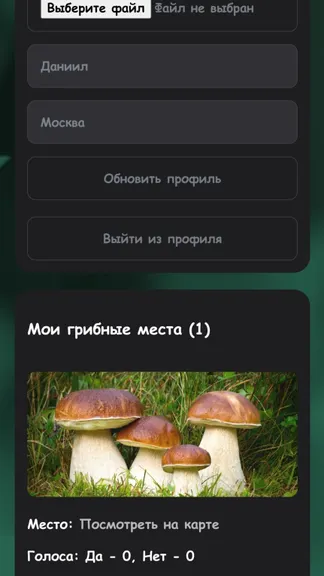 Скриншот 3/6