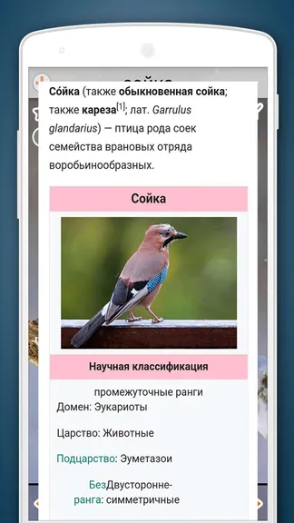 Скриншот 5/8