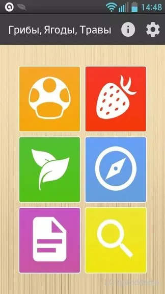 Скриншот 1/5