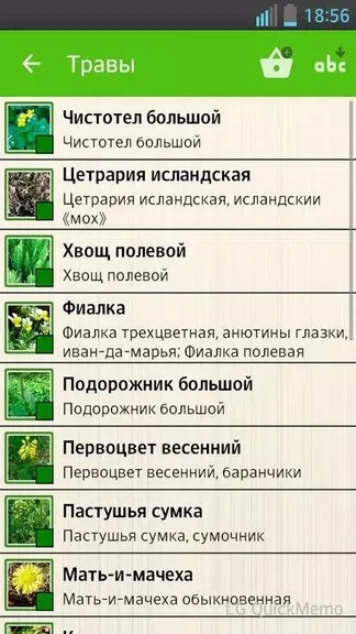 Скриншот 4/5