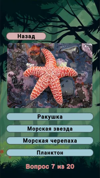 Скриншот 7/8