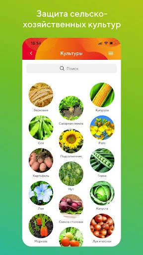 Скриншот 4/8