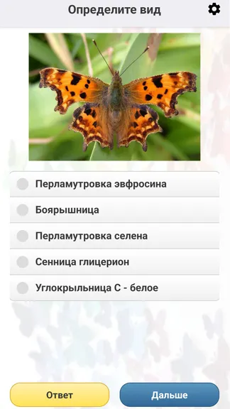 Скриншот 6/8