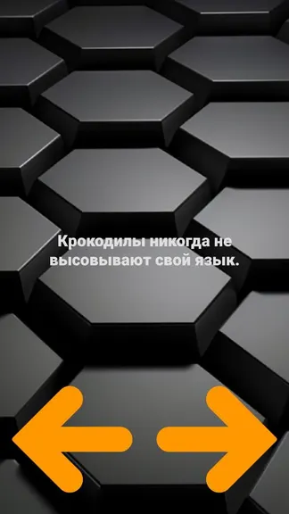 Скриншот 2/6