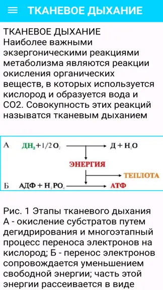 Скриншот 2/3