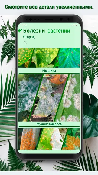 Скриншот 2/4