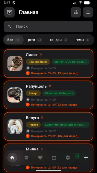Скриншот 1/4