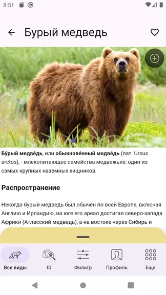 Скриншот 2/7