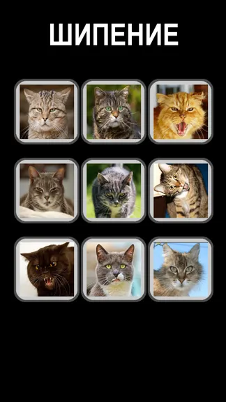 Скриншот 6/6