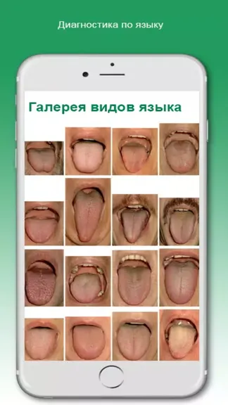 Скриншот 5/5