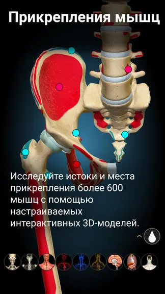 Скриншот 4/6