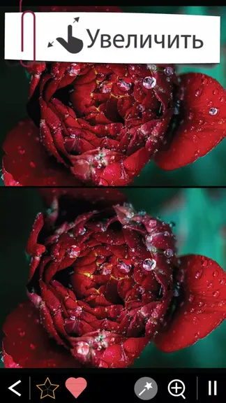 Скриншот 5/5