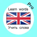 Английский язык - Учить слова с картинками Pro логотип