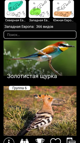 Скриншот 3/8