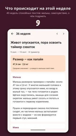 Скриншот 2/8