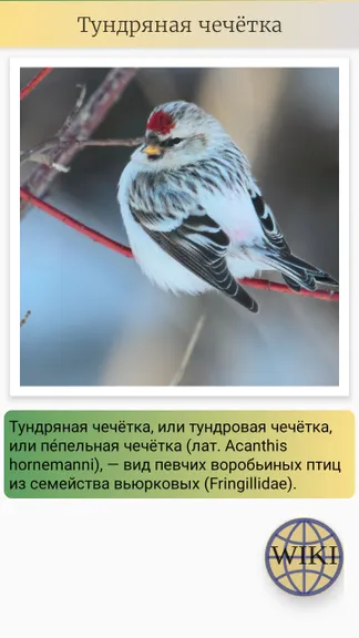 Скриншот 6/7