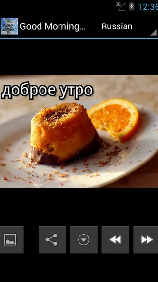 Скриншот 8/10