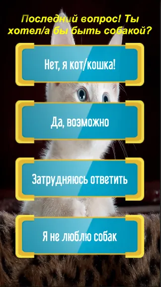 Скриншот 7/7
