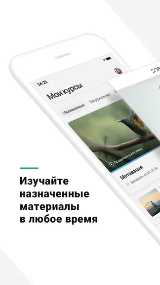 Скриншот 2/5