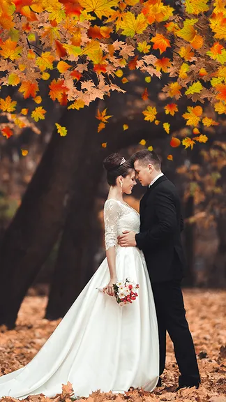 Скриншот 6/6