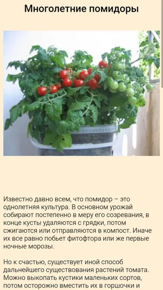 Скриншот 2/5