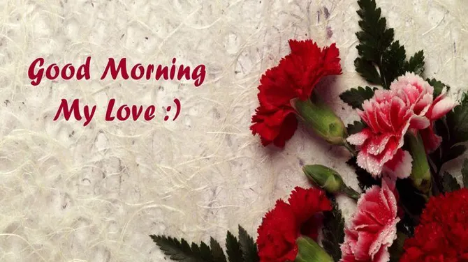 Скриншот 5/5