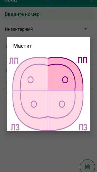 Скриншот 7/10