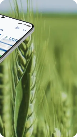 Скриншот 3/7