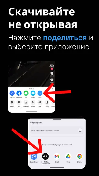 Скриншот 4/5