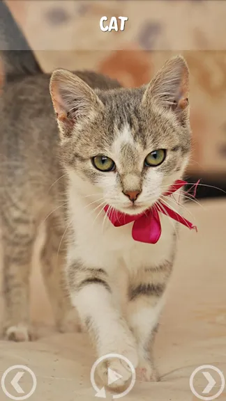 Скриншот 3/5