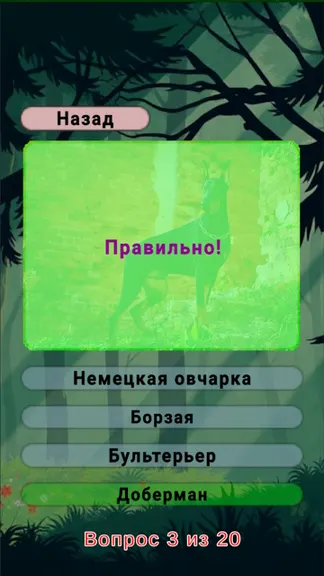 Скриншот 2/8