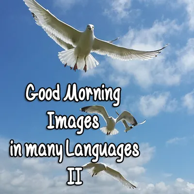 Good Morning Images M. Lang. 2