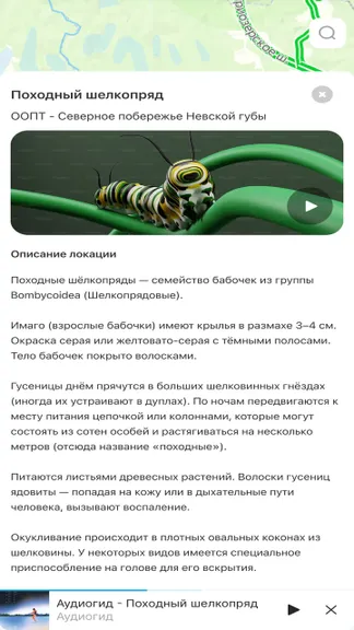 Скриншот 3/3