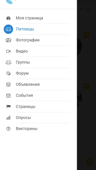 Скриншот 2/10