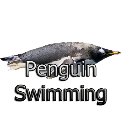 Penguin Swimming