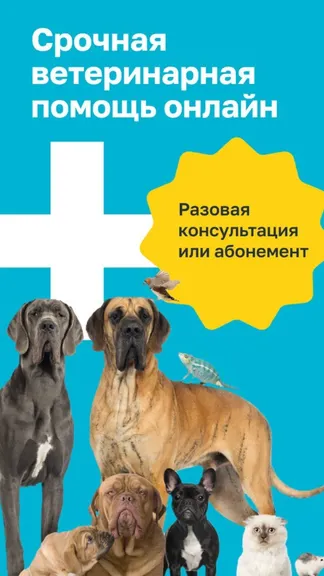 Скриншот 1/5