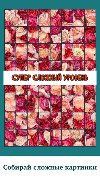 Скриншот 2/4