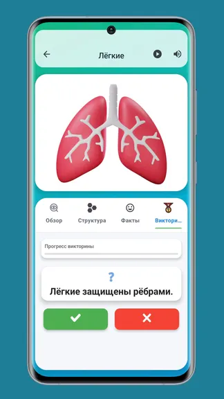 Скриншот 6/8
