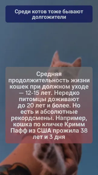 Скриншот 3/3