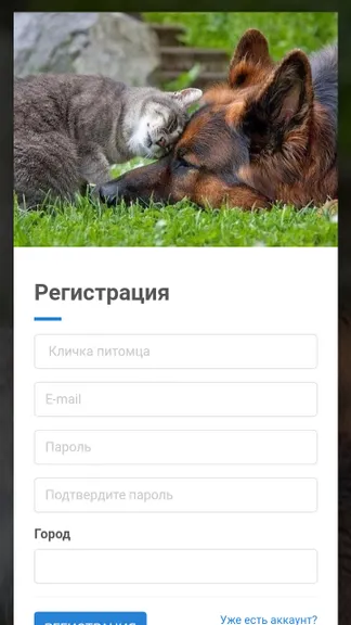 Скриншот 1/10