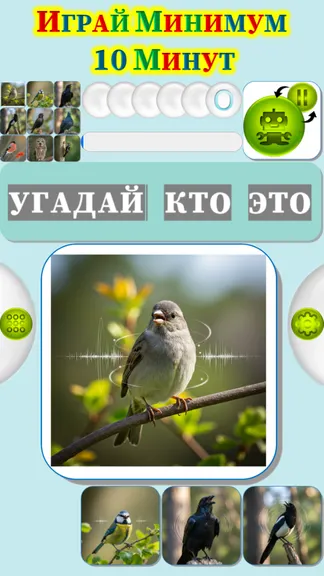 Скриншот 2/4
